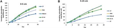 Characterization of Soil Pores Through X-Ray Computed Microtomography and Carbon Mineralization Under Contrasting Tillage and Land Configurations in the Indo-Gangetic Plains of India